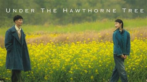  Under the Hawthorn Tree: A Timeless Korean Tale Exploring Resilience and Lost Innocence